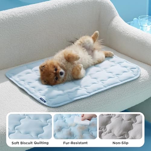 Anti slip rubberized dot backing on extra large dog mat