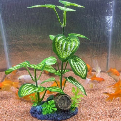 Premium EDGCTYU imported aquarium greenery installed inside a clean freshwater fish tank setup