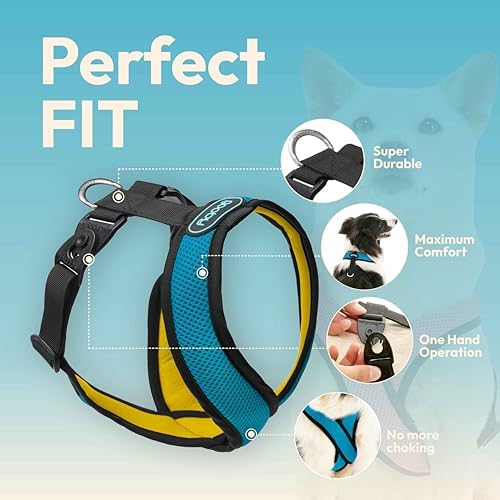 Gooby Comfort X dual snap harness packaging and back clip D-ring orientation