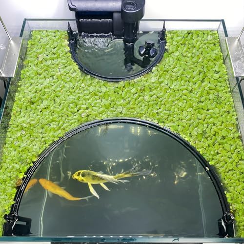 Switior fish tank accessory separating floating plants from filter flow.
