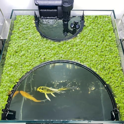 Switior fish tank accessory separating floating plants from filter flow.