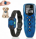 Blue ultra miniature dog training collar receiver alongside the long range remote.
