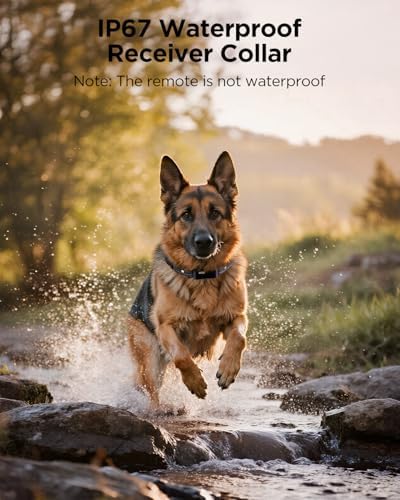 Handheld dog training remote with dual channel control buttons