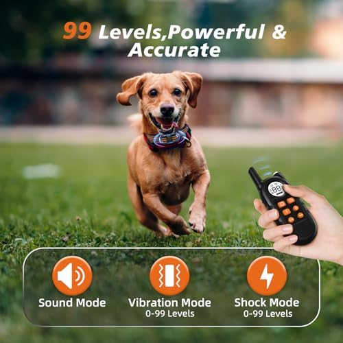 Compact remote controller for pet behavior correction showcasing the digital display screen and buttons.
