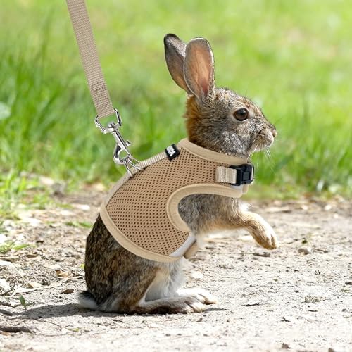 AIITLE escape proof bunny harness and leash set with checkered pattern trim detail for style