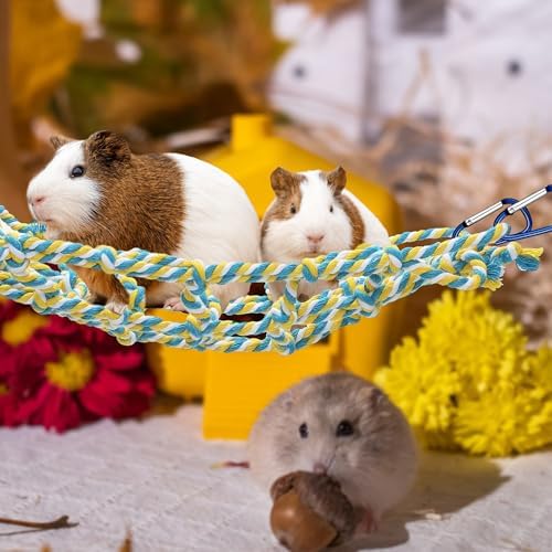 Hamster climbing on yellow rope bridge toy