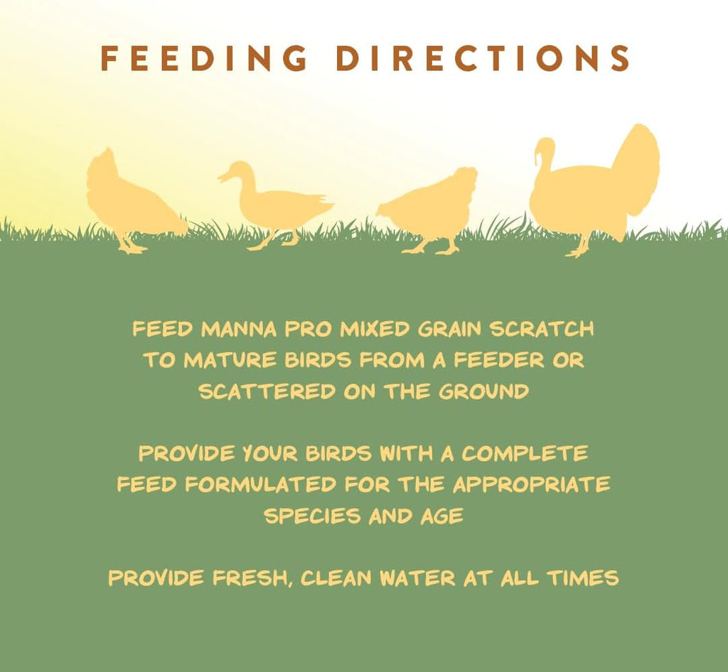 Close up of non-GMO corn and sunflower seeds in Manna Pro feed