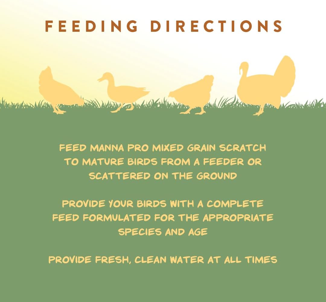Manna Pro Ultimate Chicken Scratch Feed, Nutrient-Rich Scratch Grain Treat for Chickens and Poultry, Natural Multigrain Blend for Backyard Flocks and Laying Hens, Made in USA, 10 lb Bag - Image 7