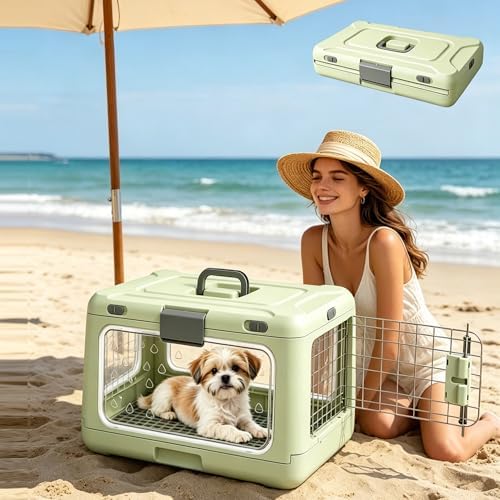 Dog Trust portable small pet carrier completely folded flat for storage