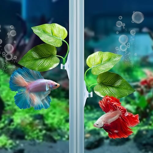 Aquarium fish tank setup featuring artificial resting leaf pad for pet care