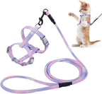 Metal D-ring and leash clip detail of Semeb pet set