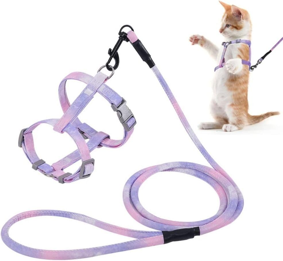 Metal D-ring and leash clip detail of Semeb pet set