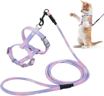 Metal D-ring and leash clip detail of Semeb pet set