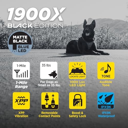 Dogtra e-collar system displaying the complete charging accessories and durable carry case