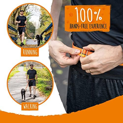 Metal safety clasp on Mighty Paw bungee dog leash