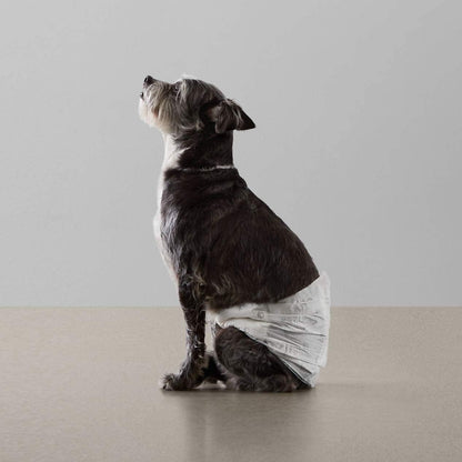 Fifty pack box of Amazon Basics leakproof male dog diapers