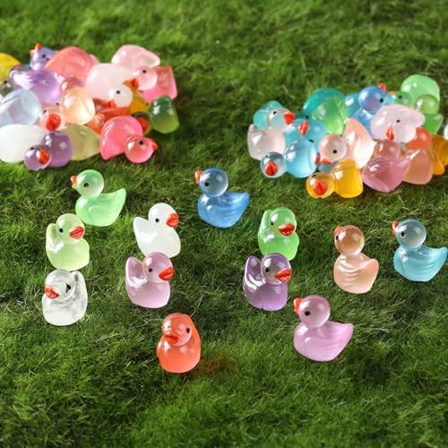 Aquarium layout decorated with miniature JWAJWY resin ducks.
