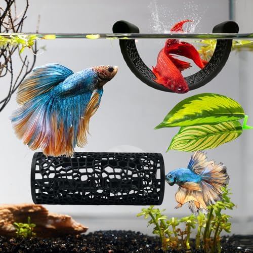 Tasomuty four piece betta habitat bundle installed in nano tank