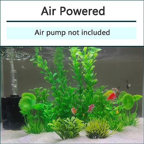Aquaneat filter packed for breeding fry and shrimp