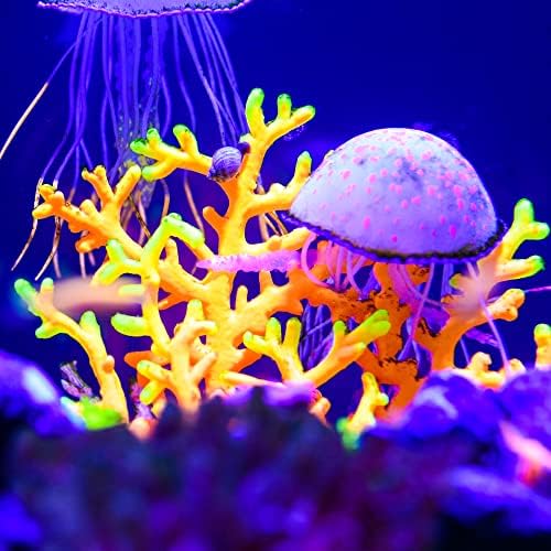 VOCOSTE fluorescent artificial aquatic plant packaging and size dimensions layout