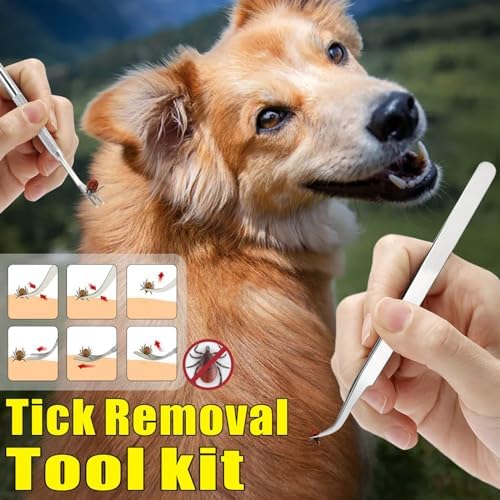 High quality stainless steel tick removal tools for safety and hygiene.