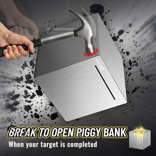Hizgo budget tracking stainless steel vault with non slip pads attached