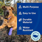 Two rolls of two inch self adhering elastic veterinary wrap for wound care