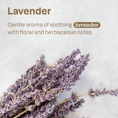 Authentic USA imported Attitude lavender pet grooming shampoo 16 ounces