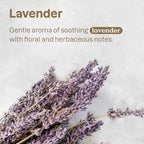 Authentic USA imported Attitude lavender pet grooming shampoo 16 ounces