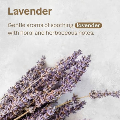 Cruelty-free lavender and argan oil pet wash for sensitive skin.