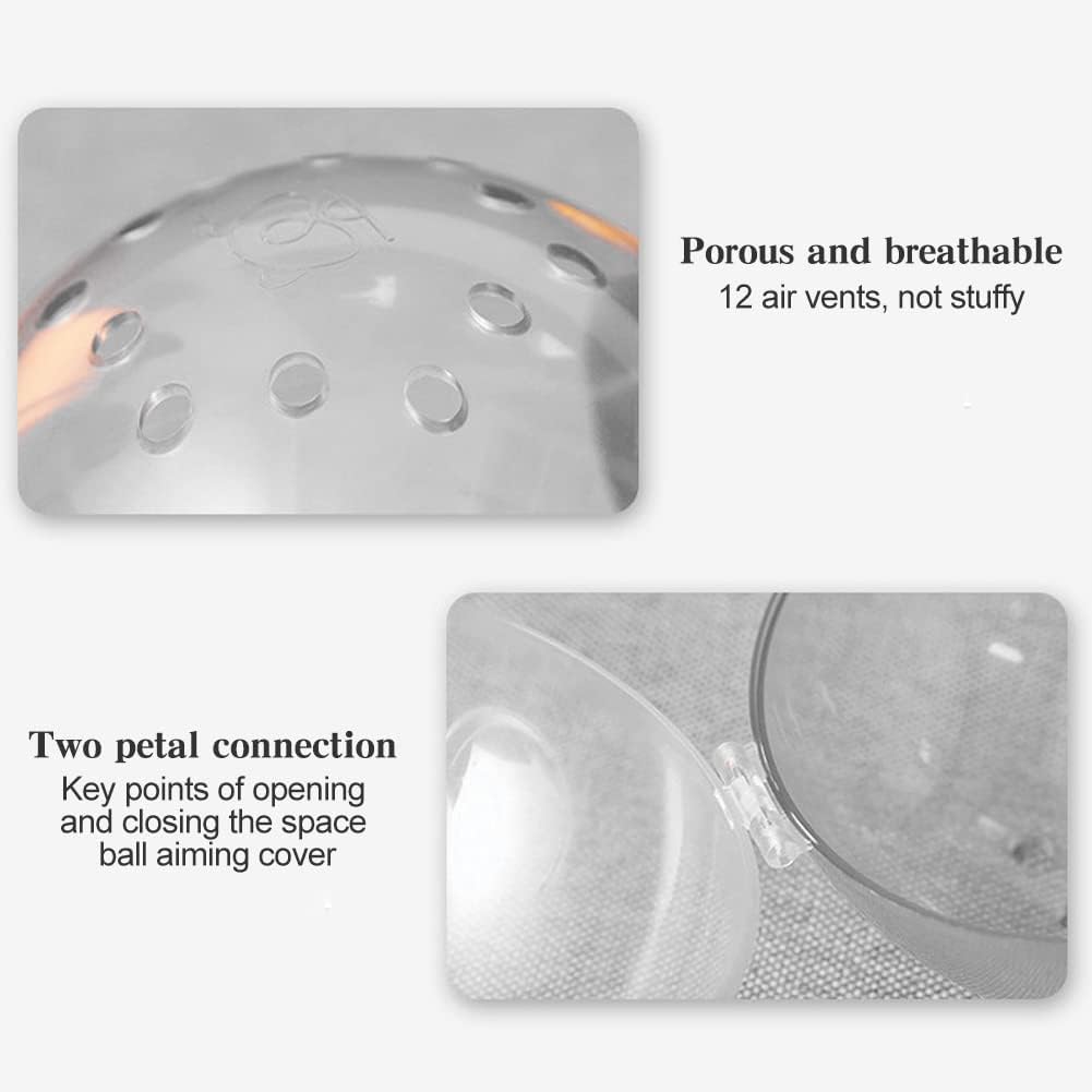 Transparent cat muzzle worn by a cat for grooming