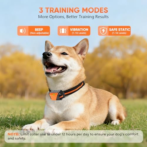 Waterproof e collar for dogs showing digital screen battery level
