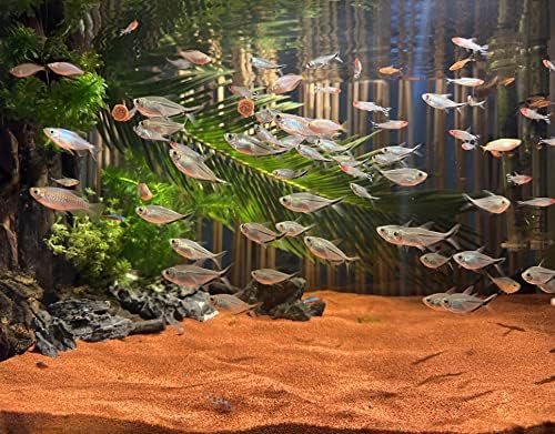Awxzom 11lb aquarium substrate packaging side view
