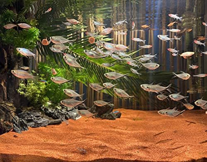 Awxzom 11lb aquarium substrate packaging side view
