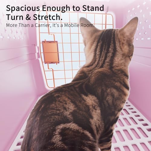 Rizzari compact pink pet kennel container for small cats