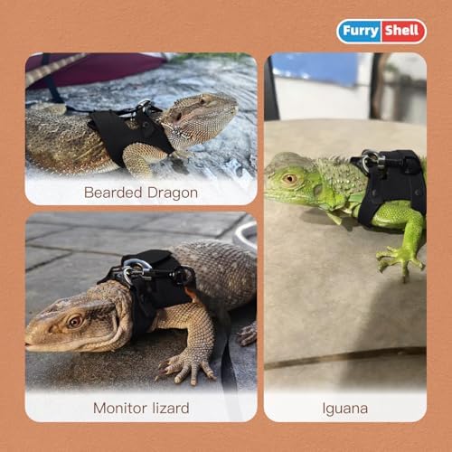 Adjustable lizard walking rope and buckle assembly showcasing durable craftsmanship for exotic pet care.