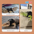 Adjustable lizard walking rope and buckle assembly showcasing durable craftsmanship for exotic pet care.