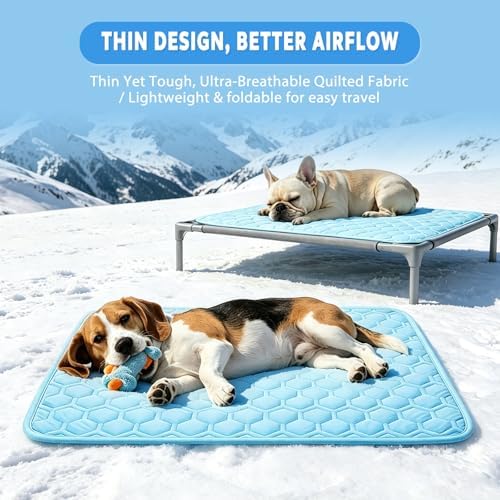 A medium sized dog relaxing comfortably on the dgdgbaby summer cooling mat indoors.