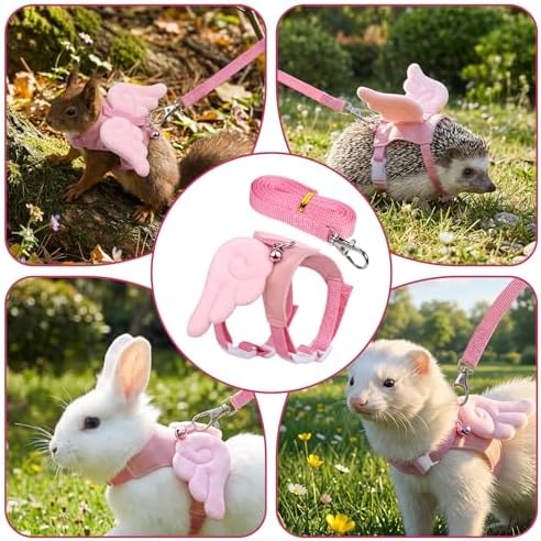 YBEATY teacup chihuahua clothing set with matching pink leash