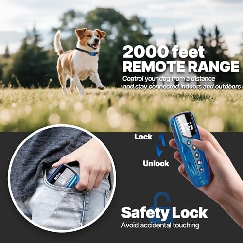 Imported blue training collar displaying the four correction modes on the screen.
