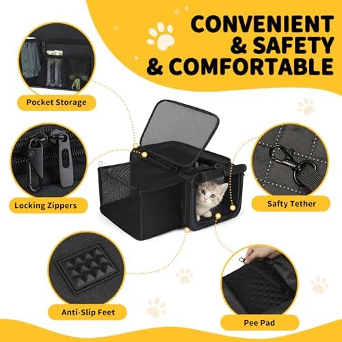 Apollo Walker authentic premium pet carrier showing interior safety tether clip