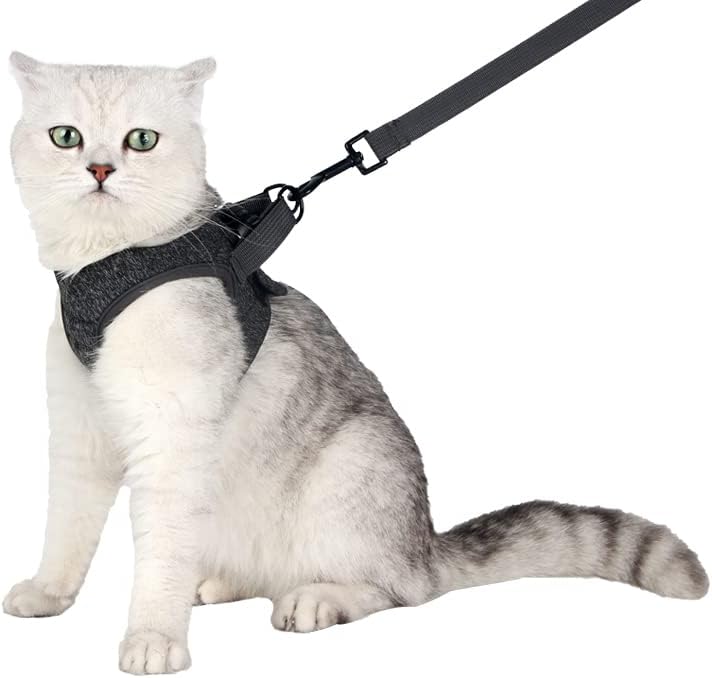 HEYWEAN Cat Harness and Leash - Ultra Light Escape Proof Kitten Collar Cat Walking Jacket with Running Cushioning Soft and Comfortable Suitable for Puppies Rabbits - Image 13