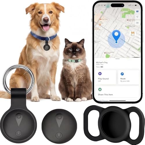 Nilone pet location tracker attached securely to a dog collar during an outdoor walk.