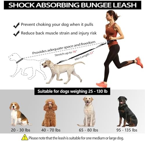 LANNEY dog walking pouch with smartphone and poop bag dispenser