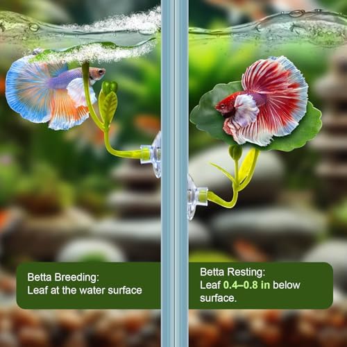 BaoZqua fish safe plastic plants and spare suction cups layout