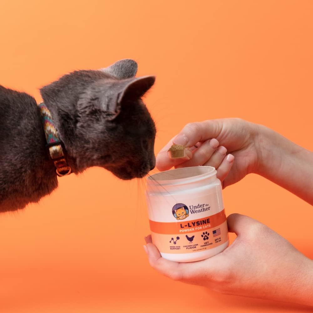 USA imported feline respiratory health supplement powder