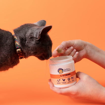 USA imported feline respiratory health supplement powder