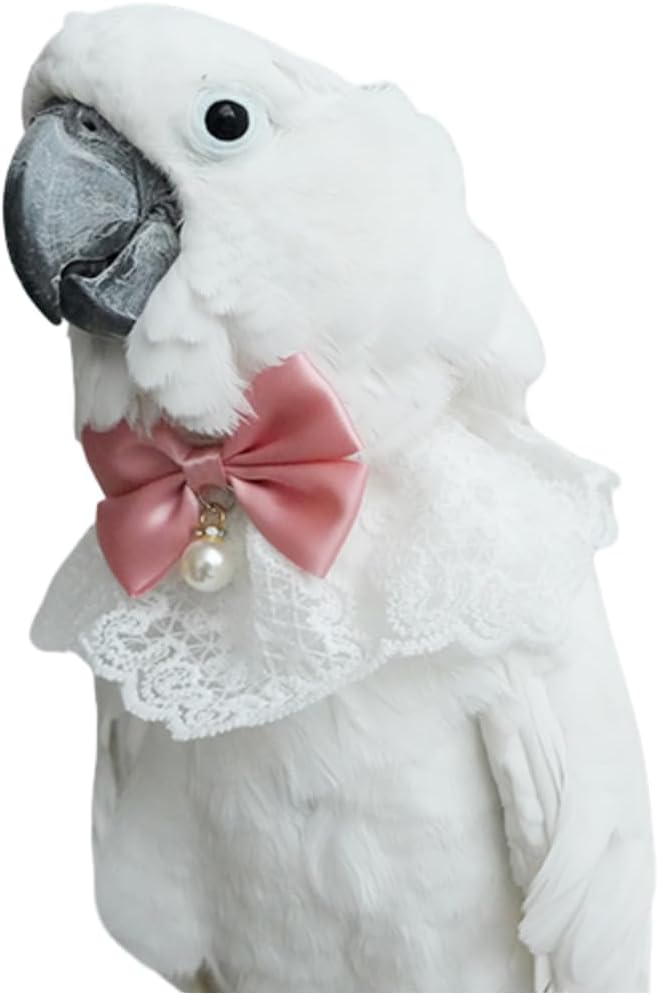 Bird Collar, Bird Clothes, Parrot Bird Supplies, Cute Collar for Medium and Large Birds Eclectus Cockatoo African Grey Amazon Bow Tie Scarf Super Cute Costume Photo Prop for Parrots (Necktie) - Image 10