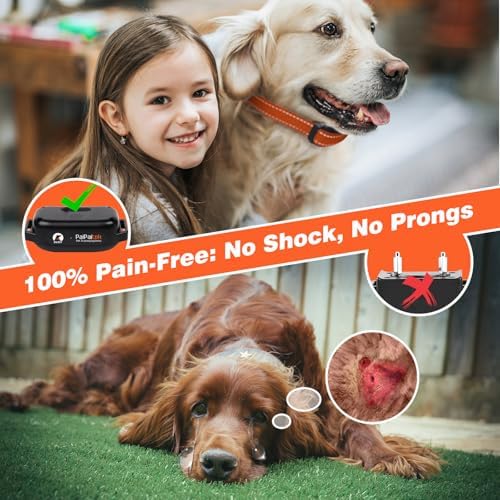 Rechargeable no shock vibrating dog collar showcasing the three hundred foot remote range.