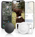 Vebiso smart pet activity tracker tag close up white collar